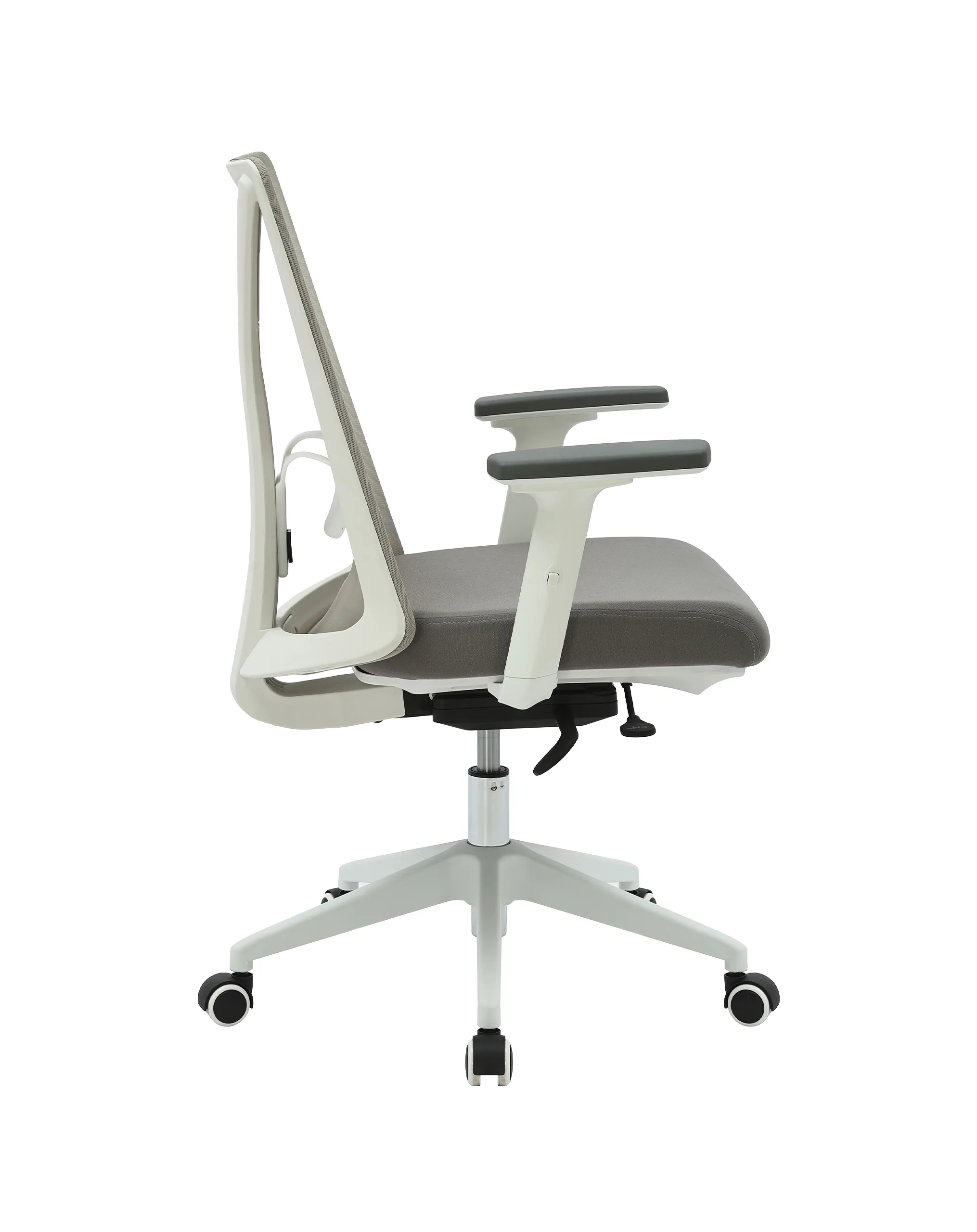 San Francisco Diretor