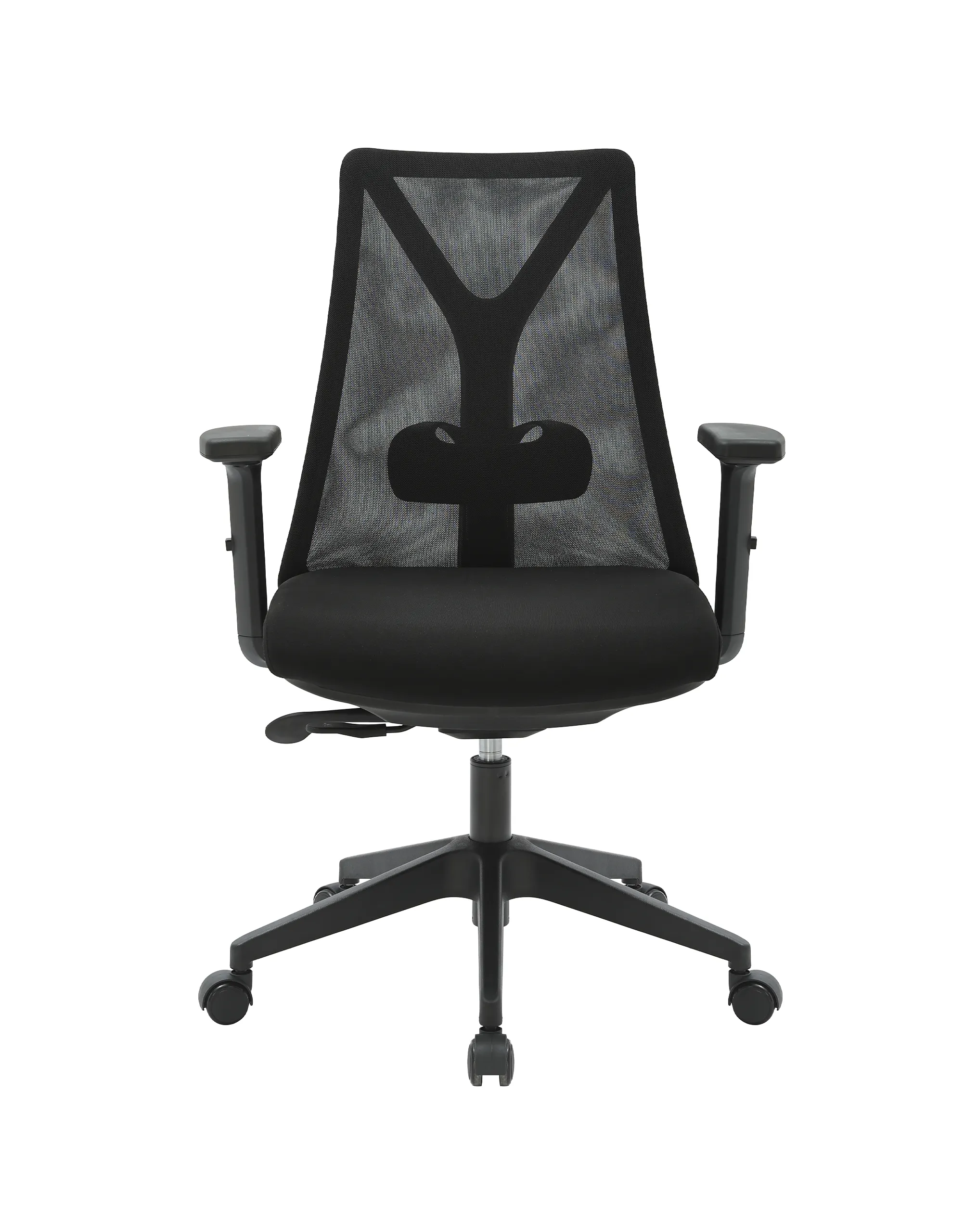 San Francisco Diretor