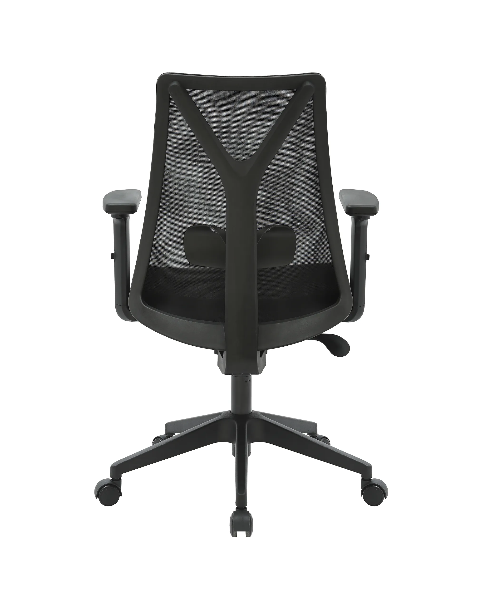 San Francisco Diretor